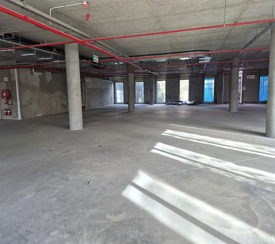 To Let Commercial Property for Rent in Rosebank Gauteng