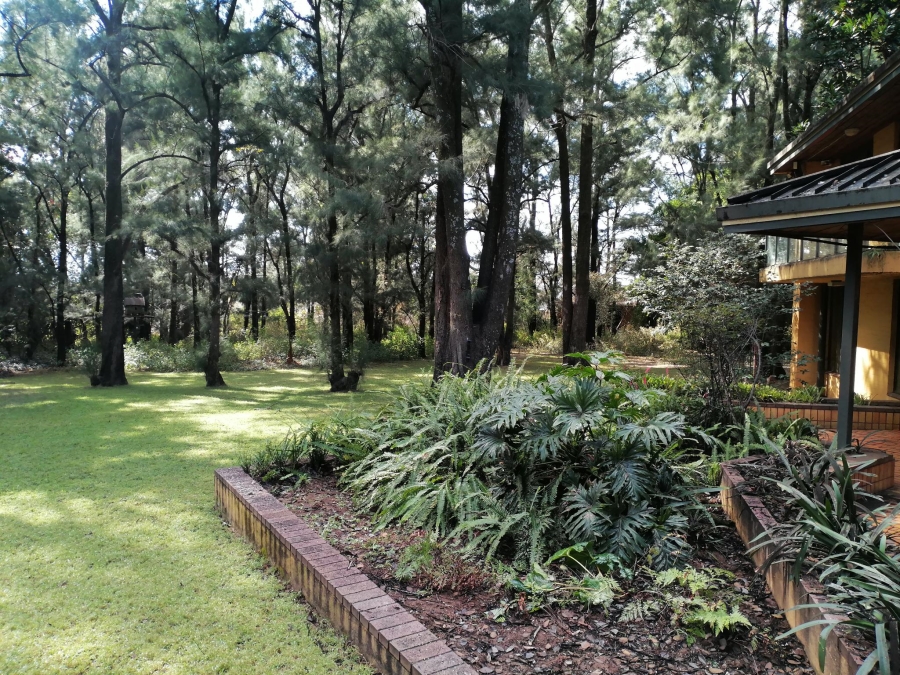 To Let 10 Bedroom Property for Rent in Equestria Gauteng