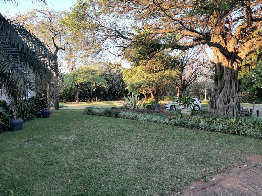 To Let 10 Bedroom Property for Rent in Equestria Gauteng