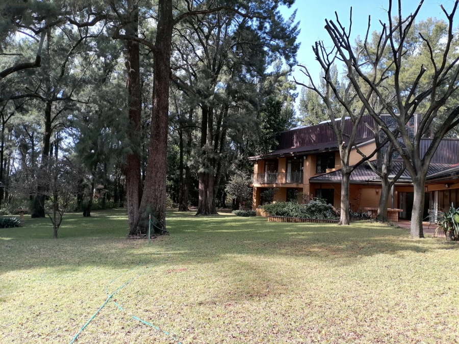 To Let 10 Bedroom Property for Rent in Equestria Gauteng