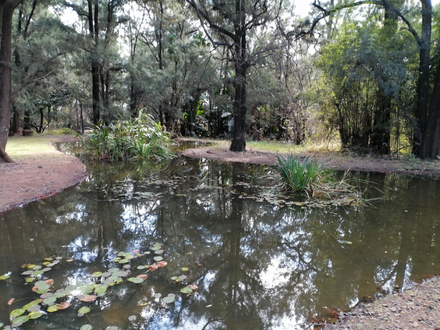 To Let 10 Bedroom Property for Rent in Equestria Gauteng