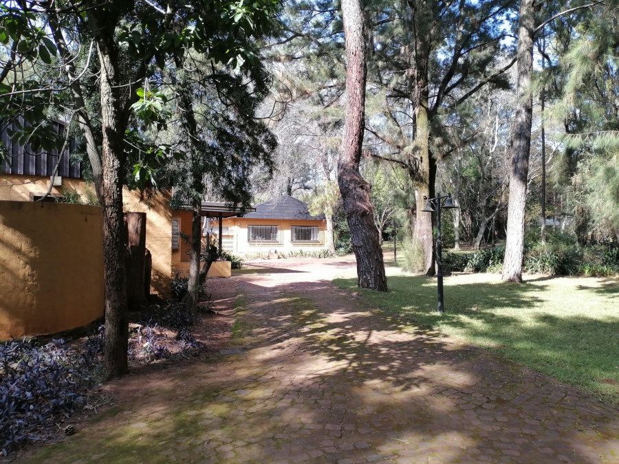 To Let 10 Bedroom Property for Rent in Equestria Gauteng