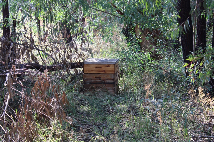 0 Bedroom Property for Sale in Valley Settlements A H Gauteng