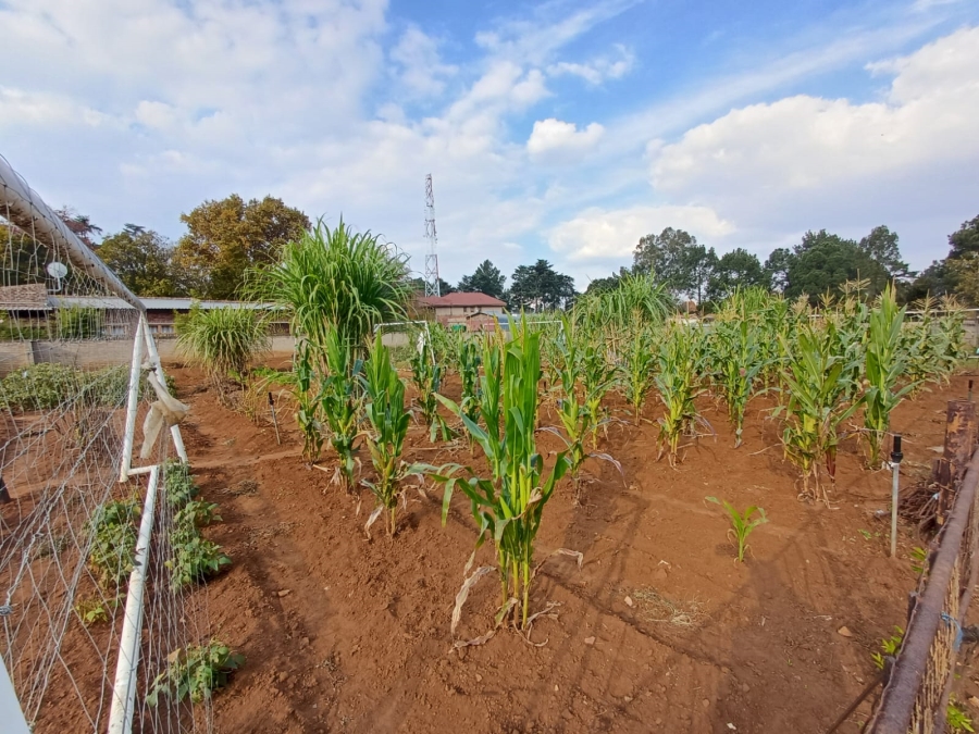 5 Bedroom Property for Sale in Unitas Park Gauteng