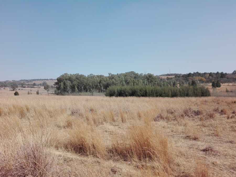 0 Bedroom Property for Sale in Rayton Gauteng