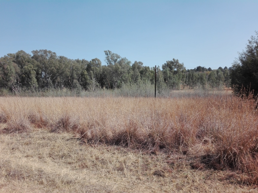 0 Bedroom Property for Sale in Rayton Gauteng