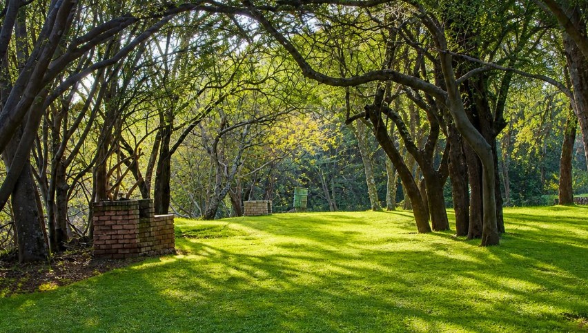0 Bedroom Property for Sale in Vaaloewer Gauteng