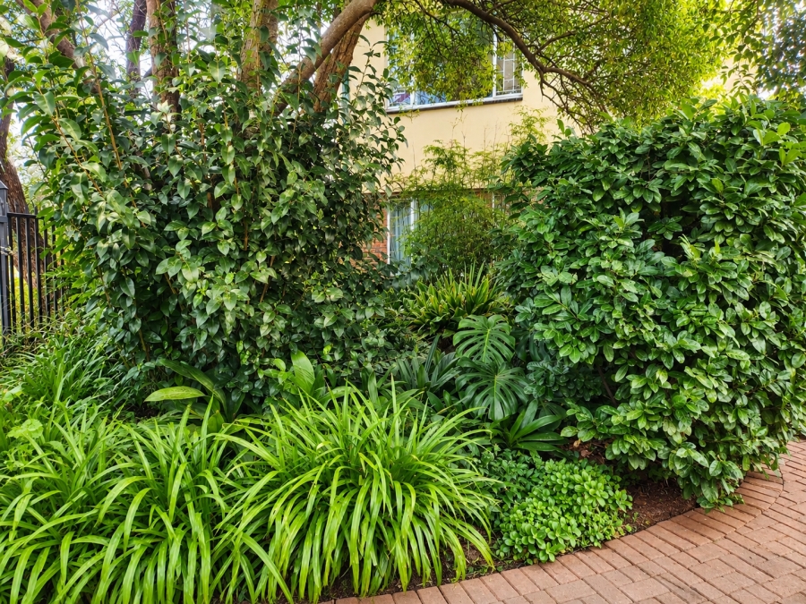 4 Bedroom Property for Sale in Doringkloof Gauteng