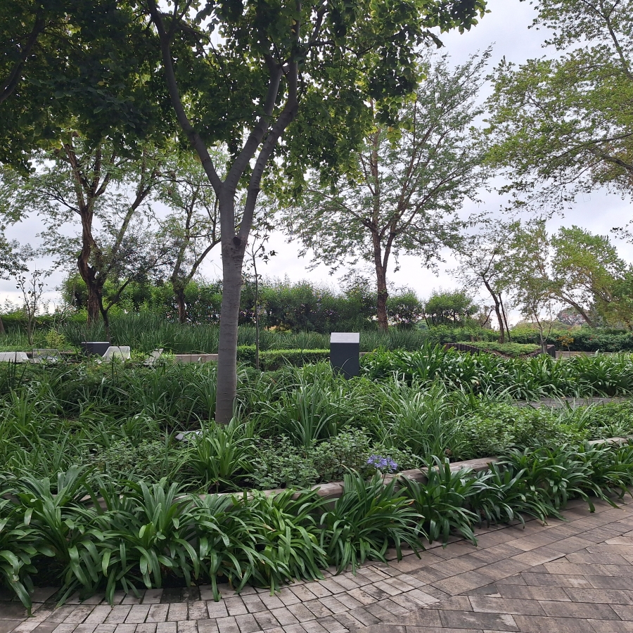To Let Commercial Property for Rent in Sandton Central Gauteng