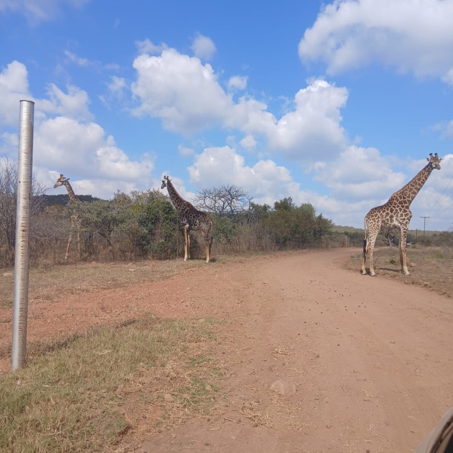 11 Bedroom Property for Sale in Roodeplaat Gauteng