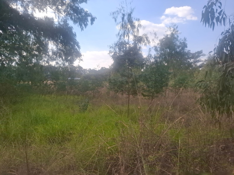 0 Bedroom Property for Sale in Zesfontein A H Gauteng
