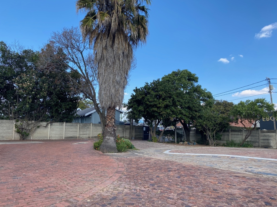 To Let Commercial Property for Rent in Parkmore Gauteng