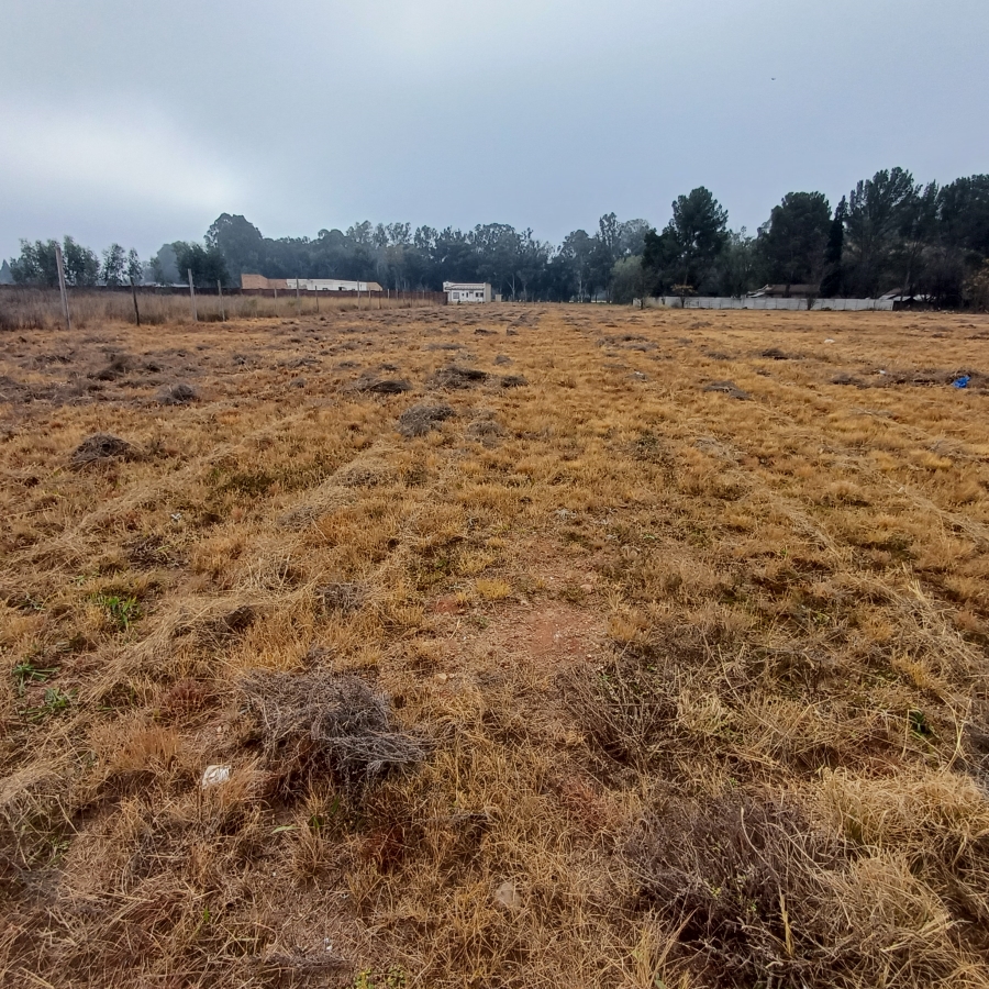 0 Bedroom Property for Sale in Henley on Klip Gauteng