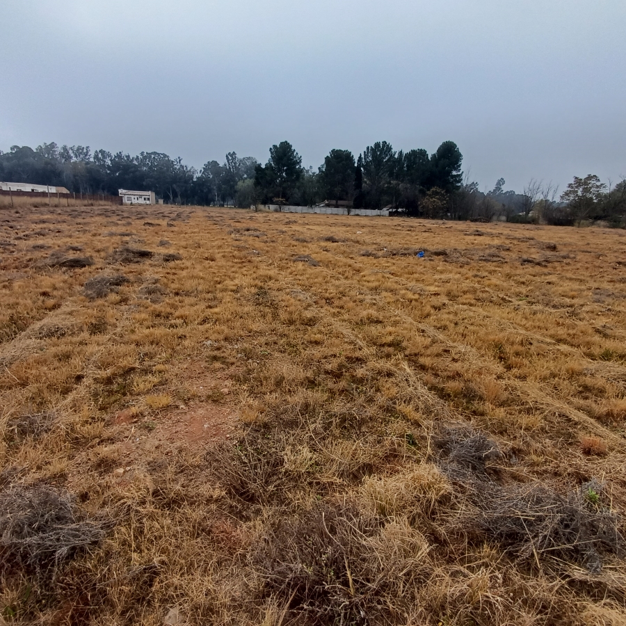 0 Bedroom Property for Sale in Henley on Klip Gauteng
