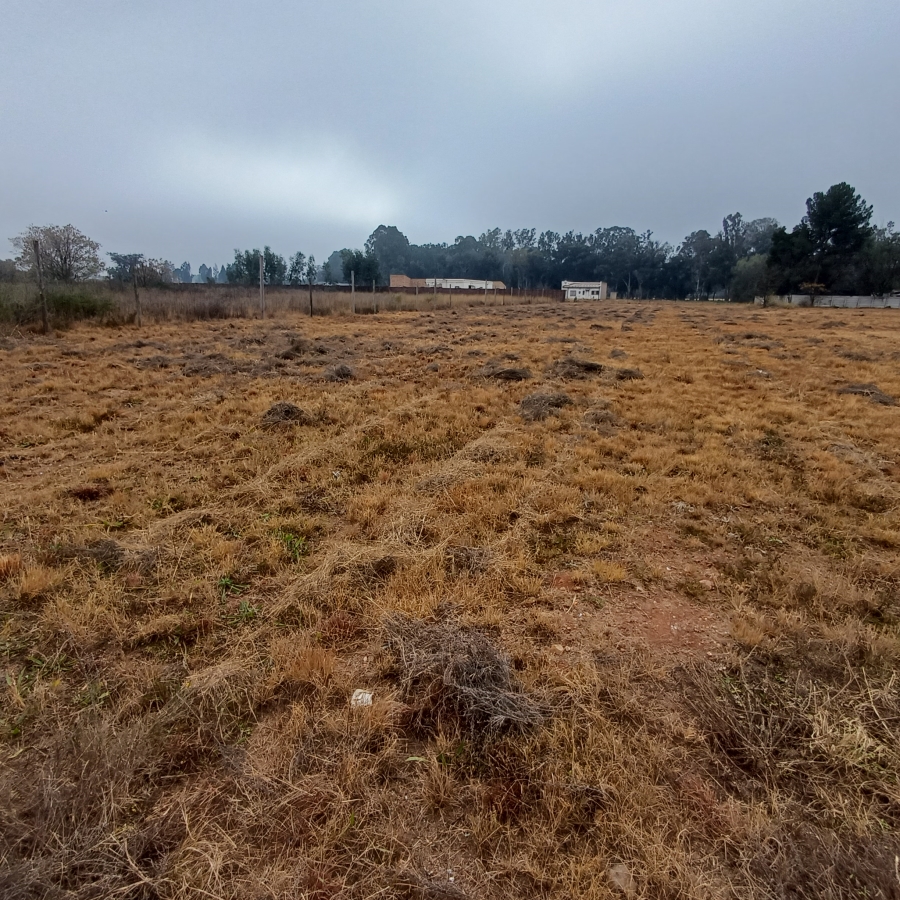 0 Bedroom Property for Sale in Henley on Klip Gauteng