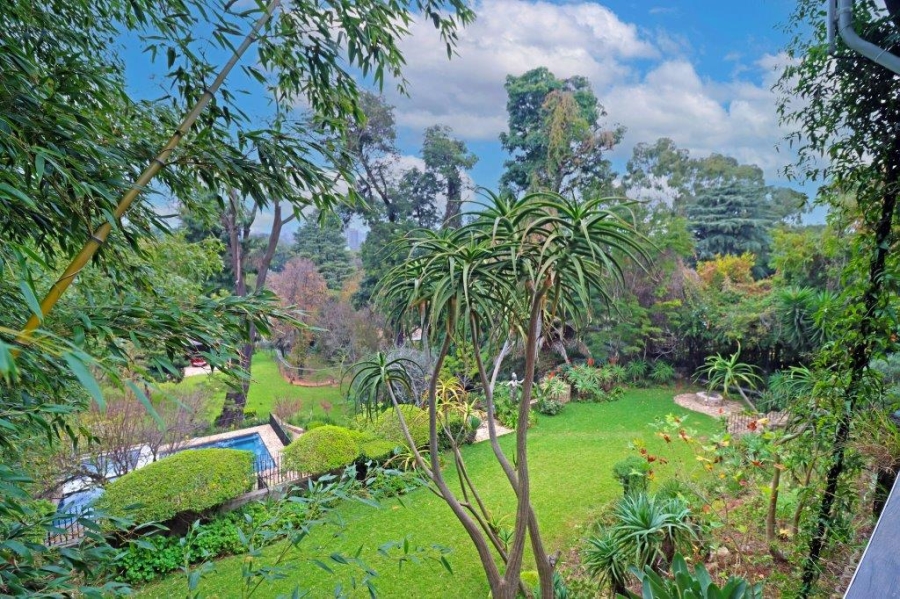 To Let 4 Bedroom Property for Rent in Westcliff Gauteng