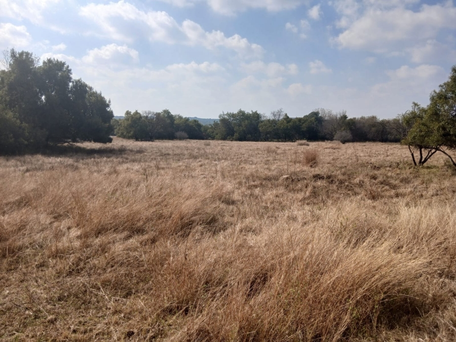 0 Bedroom Property for Sale in Leeuwfontein Gauteng