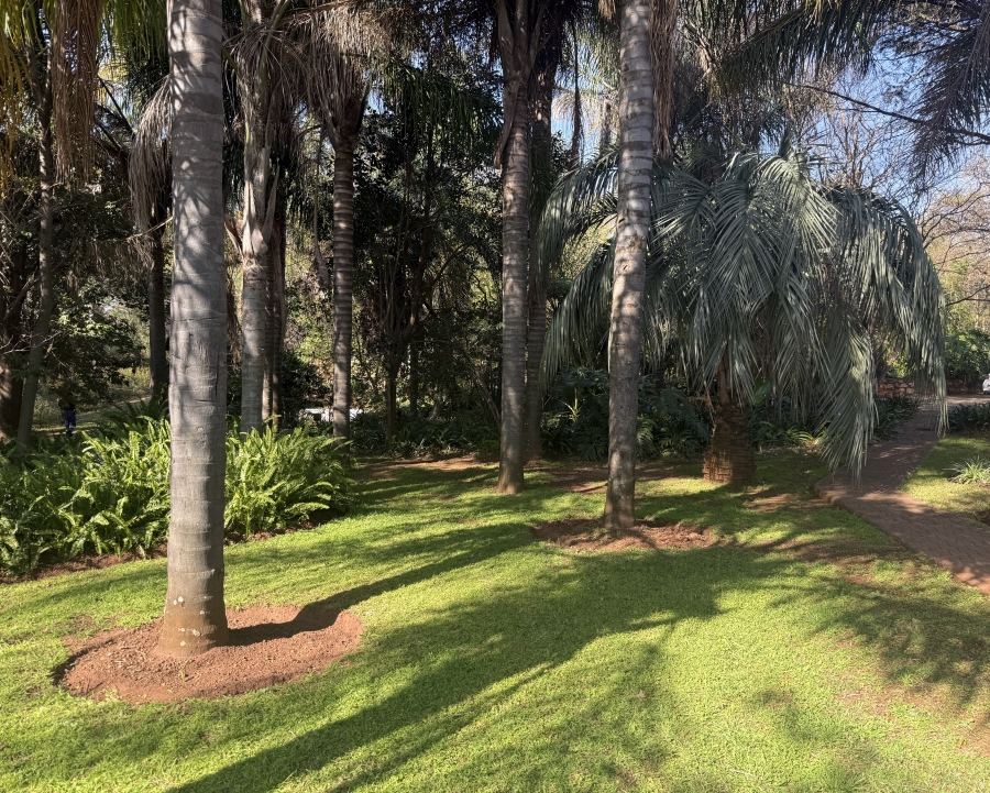 9 Bedroom Property for Sale in Rietfontein AH Gauteng