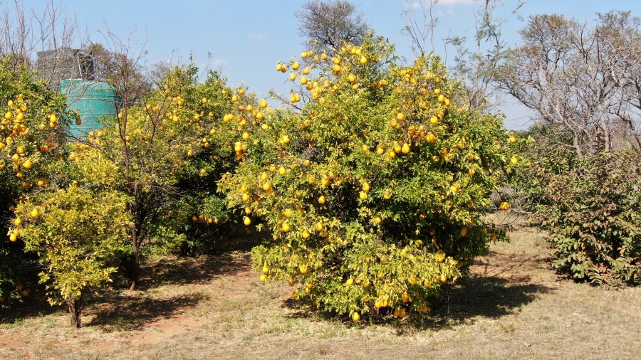 4 Bedroom Property for Sale in Kameelfontein Gauteng