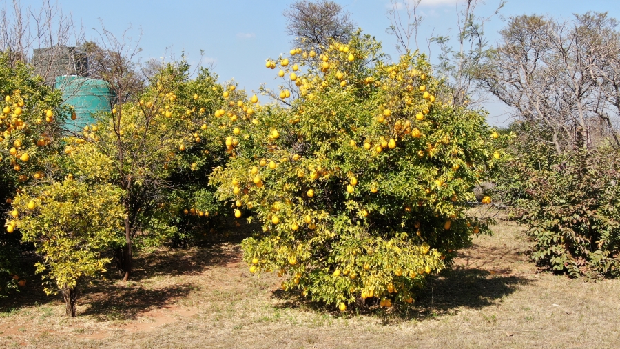 4 Bedroom Property for Sale in Kameelfontein Gauteng