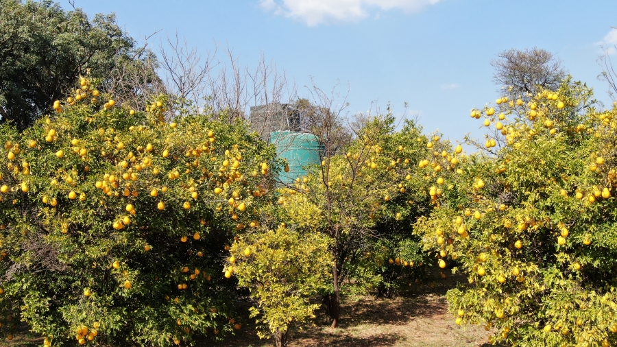 4 Bedroom Property for Sale in Kameelfontein Gauteng