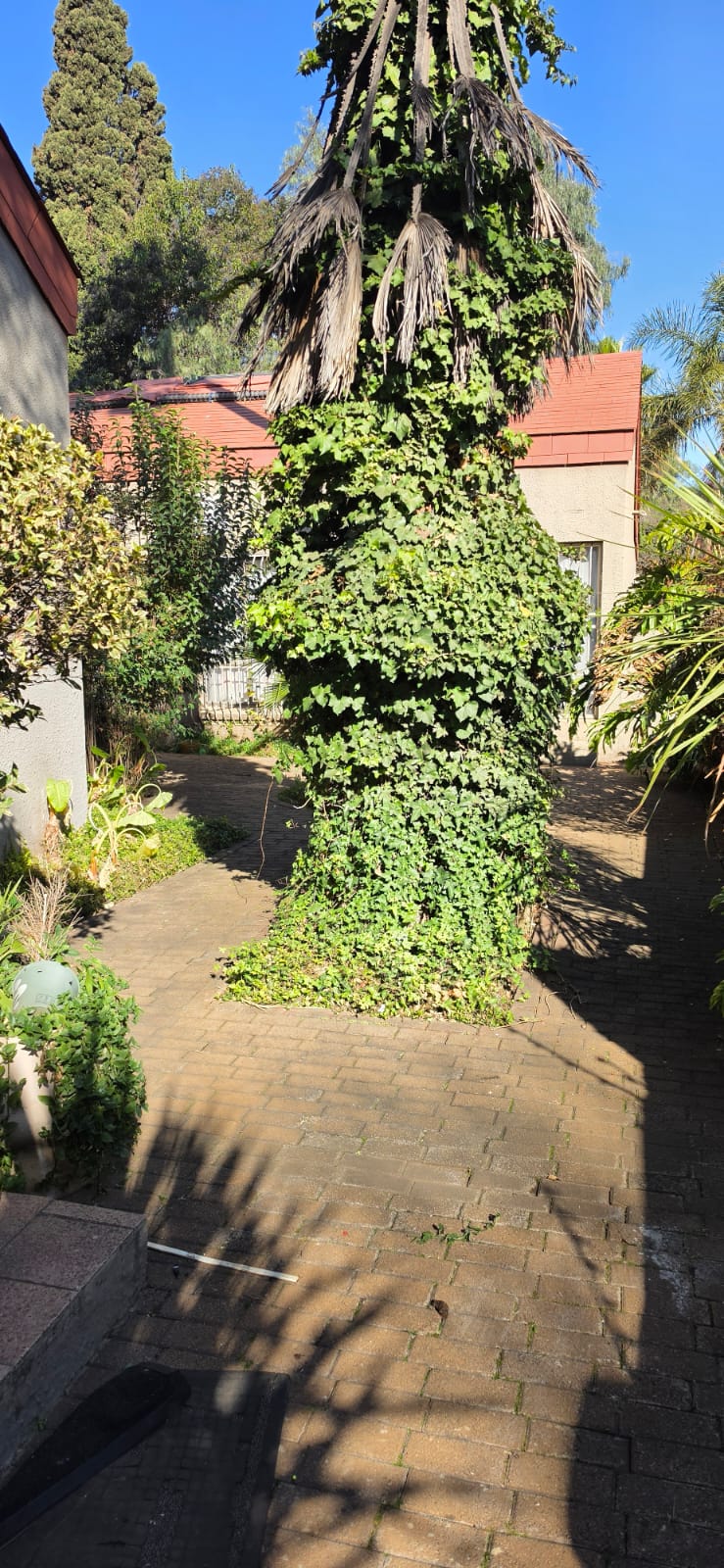 4 Bedroom Property for Sale in Flora Gardens Gauteng