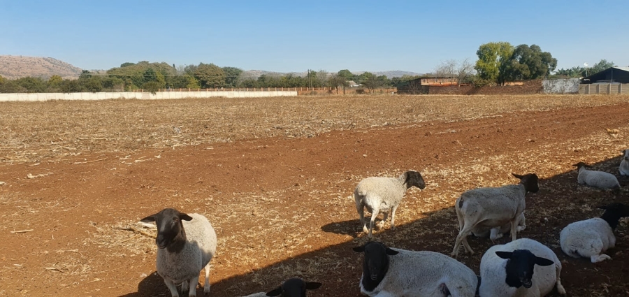 4 Bedroom Property for Sale in Swacina Park A H Gauteng