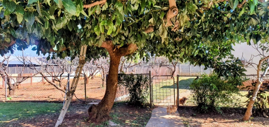 4 Bedroom Property for Sale in Swacina Park A H Gauteng