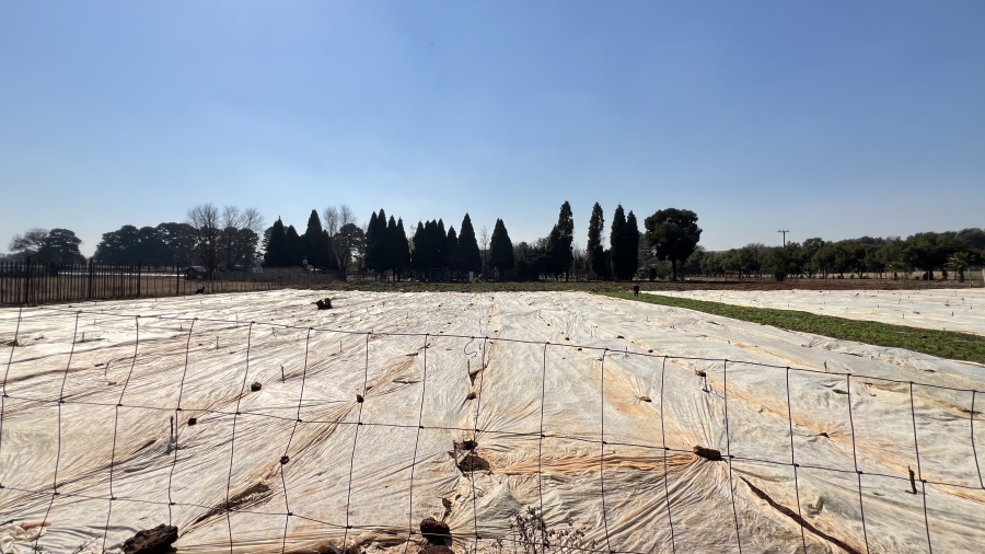 4 Bedroom Property for Sale in Tarlton Gauteng