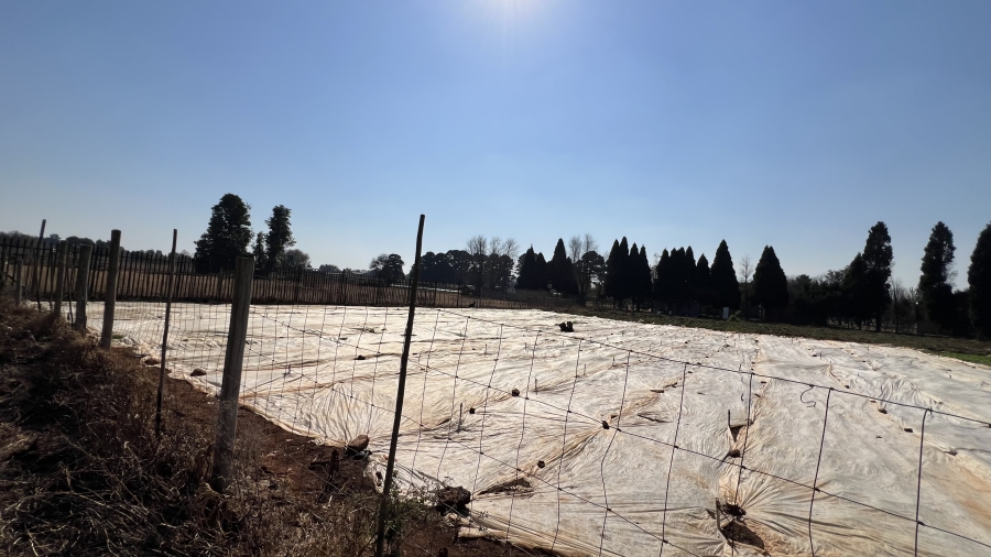 4 Bedroom Property for Sale in Tarlton Gauteng