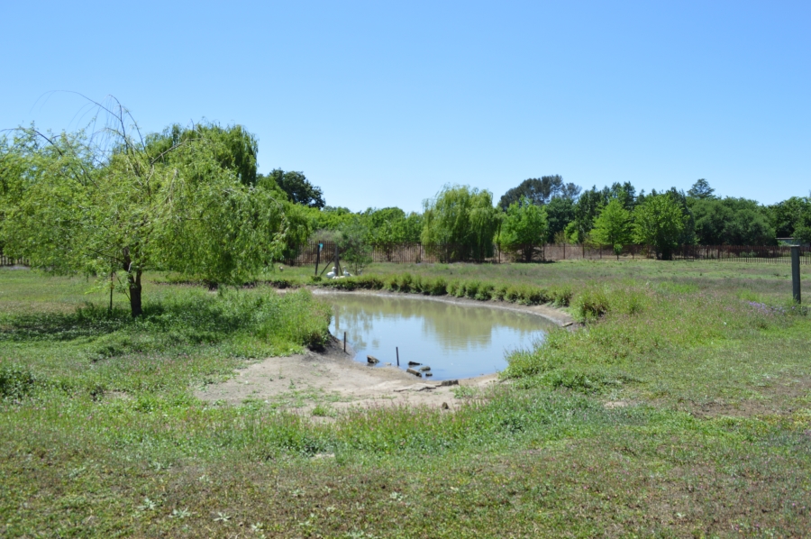 6 Bedroom Property for Sale in Unitas Park Gauteng
