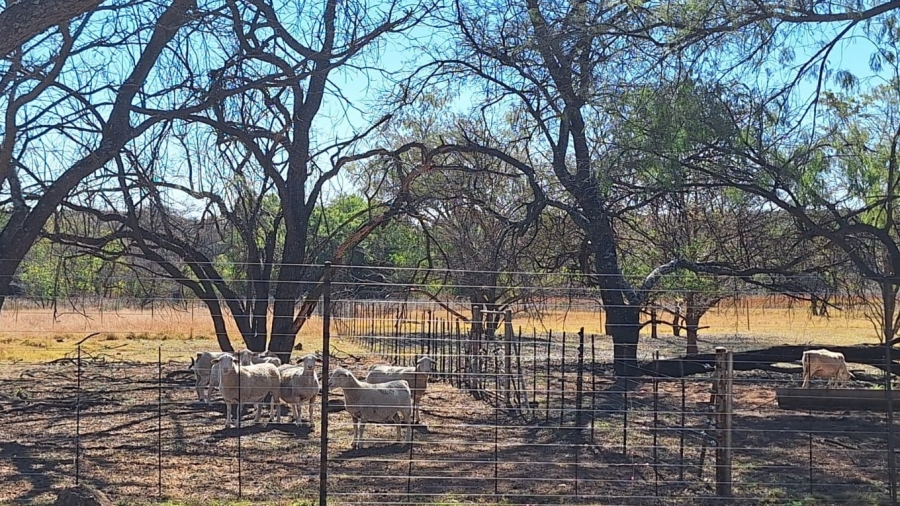 7 Bedroom Property for Sale in Cullinan Gauteng