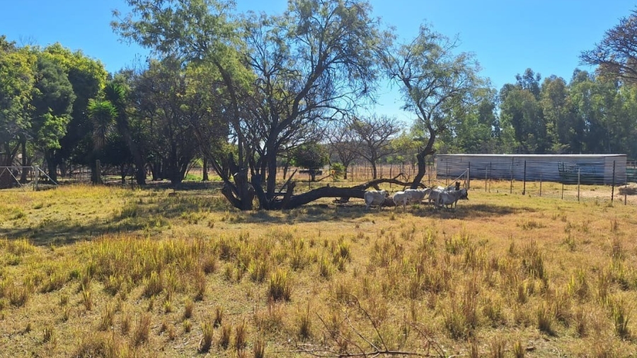 7 Bedroom Property for Sale in Cullinan Gauteng