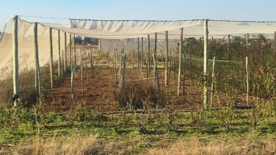 0 Bedroom Property for Sale in Zuurfontein Gauteng