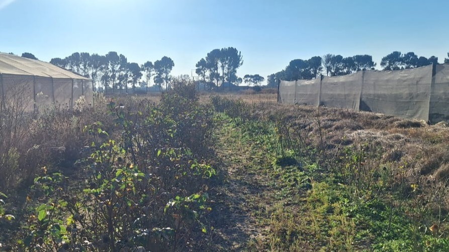 0 Bedroom Property for Sale in Zuurfontein Gauteng