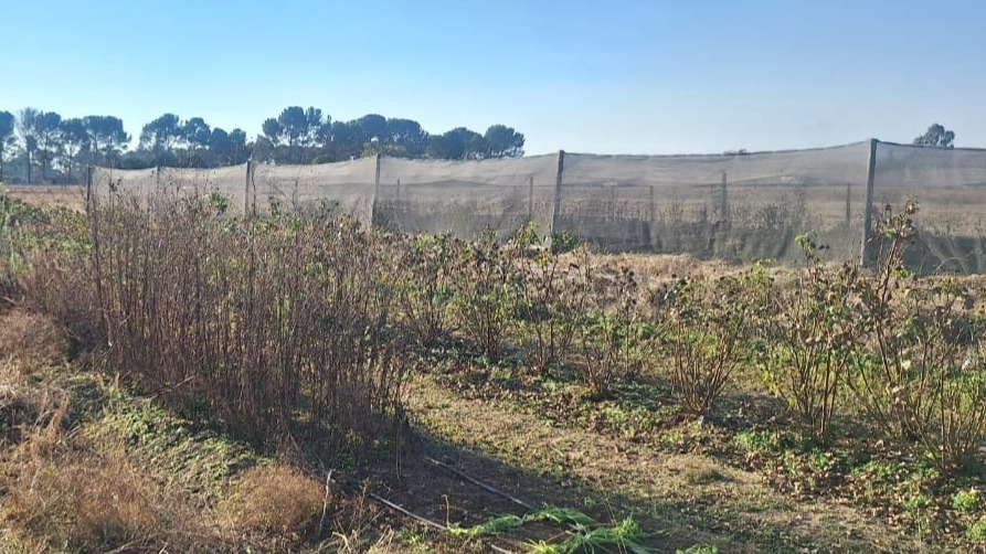 0 Bedroom Property for Sale in Zuurfontein Gauteng