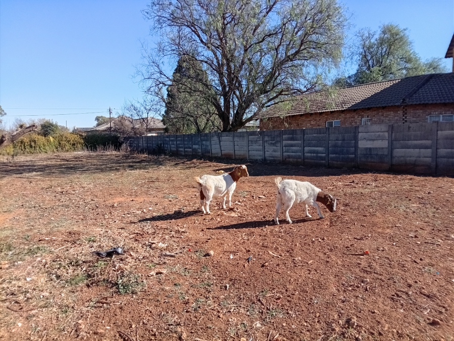 1 Bedroom Property for Sale in Henley on Klip Gauteng