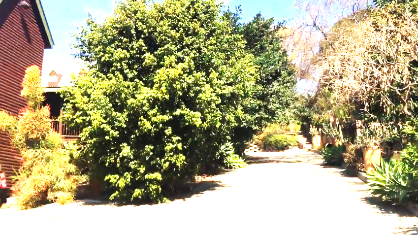 22 Bedroom Property for Sale in Capital Park Gauteng