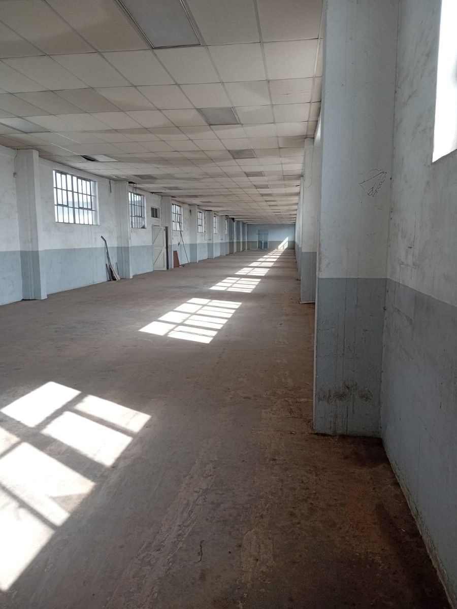 To Let Commercial Property for Rent in Heriotdale Gauteng