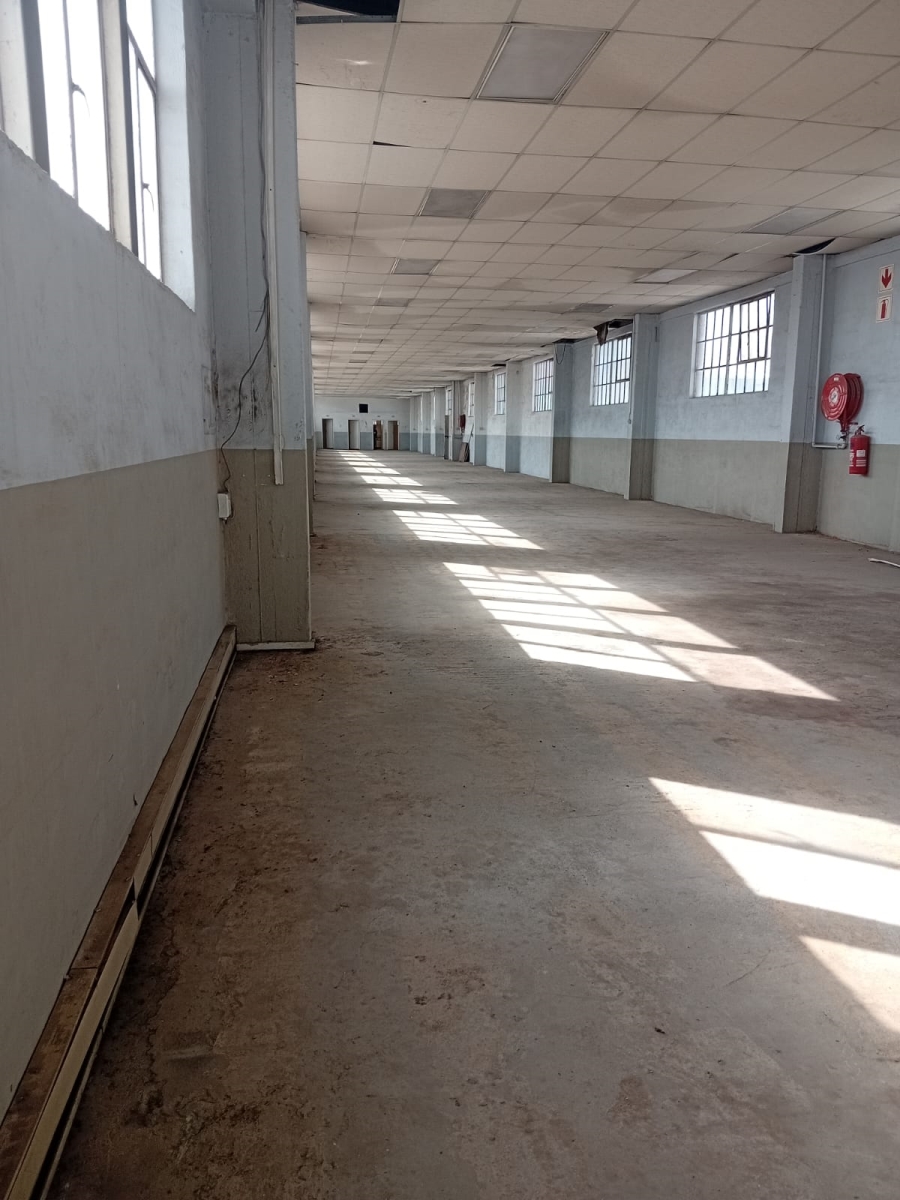 To Let Commercial Property for Rent in Heriotdale Gauteng