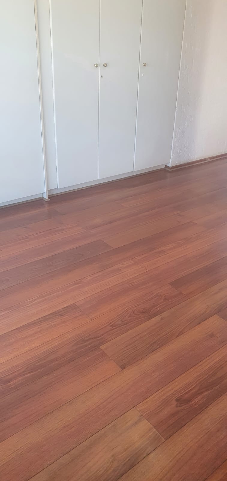 To Let 3 Bedroom Property for Rent in Mondeor Gauteng