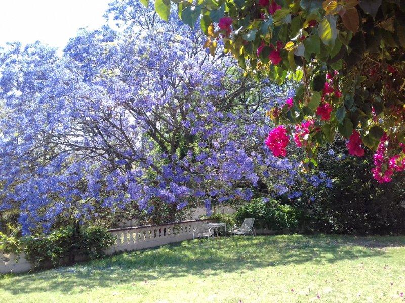 4 Bedroom Property for Sale in Chartwell Gauteng