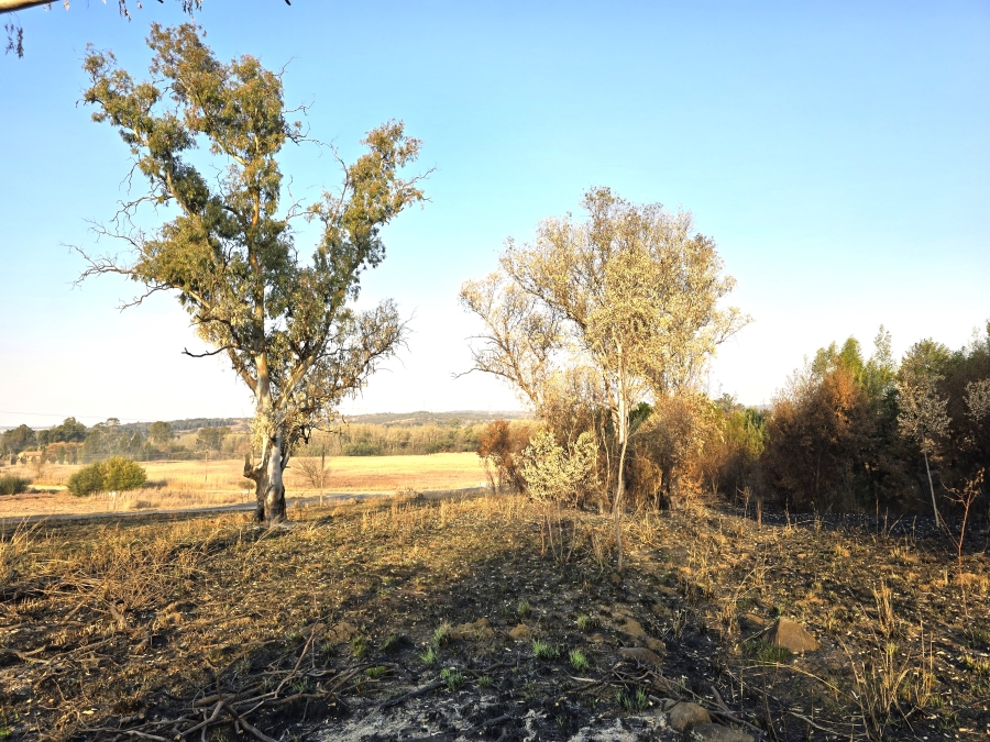 0 Bedroom Property for Sale in Tiegerpoort Gauteng