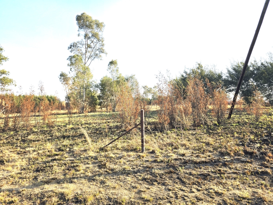 0 Bedroom Property for Sale in Tiegerpoort Gauteng