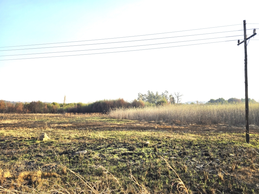 0 Bedroom Property for Sale in Tiegerpoort Gauteng