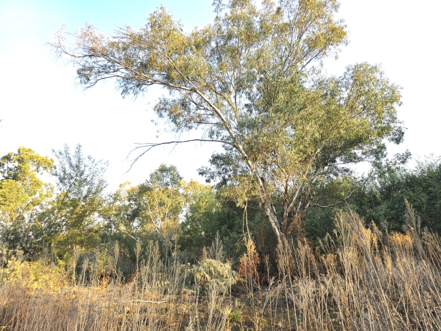 0 Bedroom Property for Sale in Tiegerpoort Gauteng