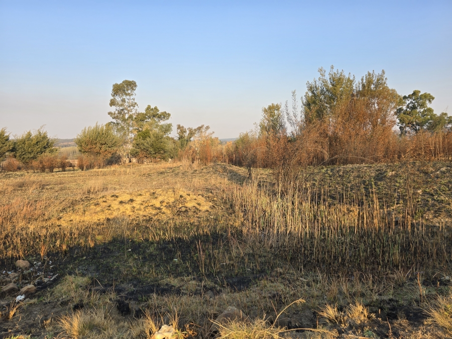 0 Bedroom Property for Sale in Tiegerpoort Gauteng