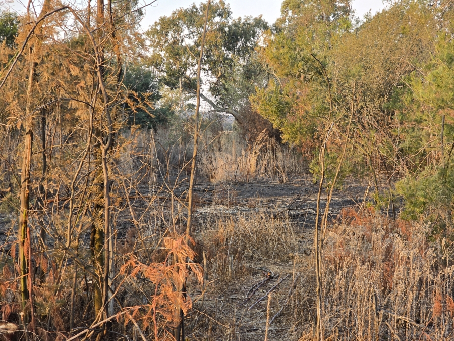 0 Bedroom Property for Sale in Tiegerpoort Gauteng