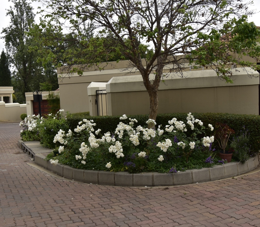 To Let 2 Bedroom Property for Rent in Bryanston Gauteng