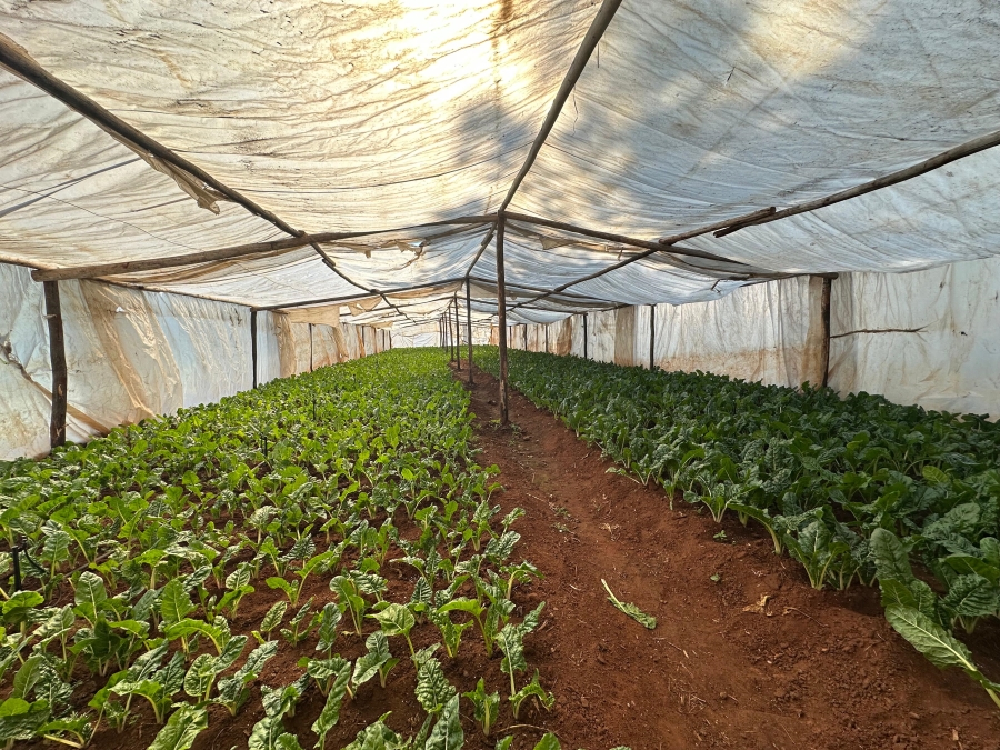 Commercial Property for Sale in Endicott Gauteng
